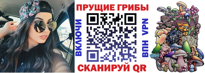 Галлюциногенные грибы GOLDEN TEACHER  Гуково 